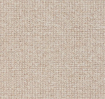 Ковролин Balta Brazil 640 фото 1 | FLOORDEALER